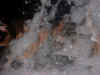 foam20.JPG (91540 bytes)