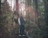 chm_forest.jpg (130221 bytes)
