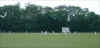 cricket2.jpg (64016 bytes)
