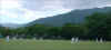 cricket3.jpg (65450 bytes)