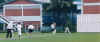 cricket3.jpg (98469 bytes)
