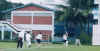 cricket4.jpg (95177 bytes)