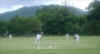 cricket5.jpg (78436 bytes)