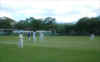 cricket7.jpg (49552 bytes)