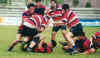 n_rugby5.jpg (117455 bytes)