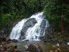 waterfalls2.gif (267217 bytes)