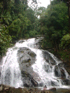 waterfalls3.gif (264418 bytes)