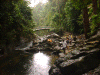 waterfalls5.gif (257868 bytes)