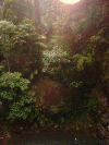 waterfalls6.gif (246350 bytes)