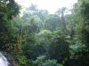waterfalls7.gif (253989 bytes)