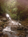 waterfalls8.gif (264803 bytes)